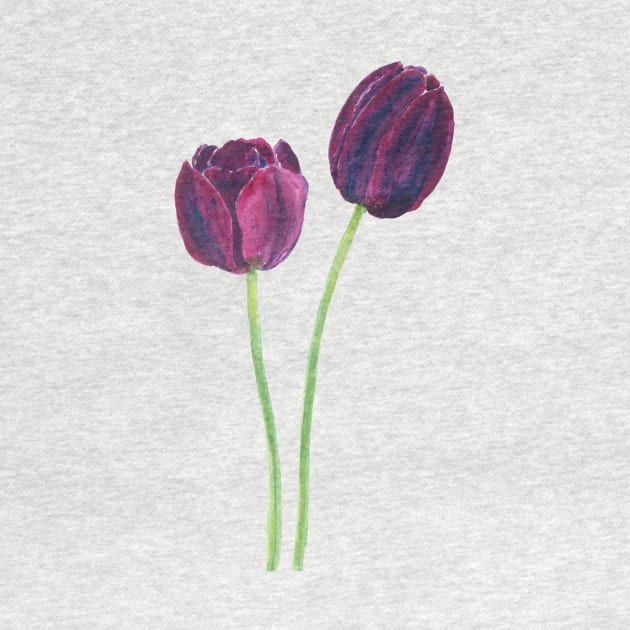 2 dark purple tulips by colorandcolor